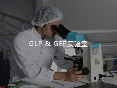 GLP&GEP实验室介绍